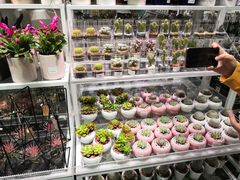 -KKV(深圳宏发大仟里店)