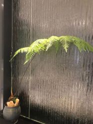 -奥斯芬·欧系贵族SPA