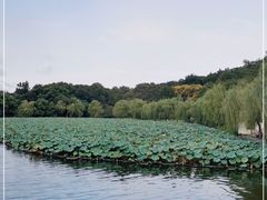 -印象西湖·最忆是杭州实景演出