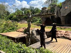 -海南热带野生动植物园