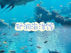 -长鹿旅游休博园