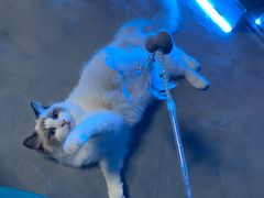 -零纪元VR体验馆·桌游(黄浦店)