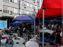 -桂林市花鸟市场