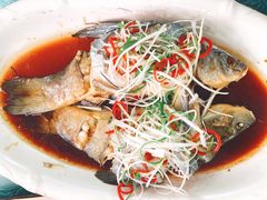 -煲来饱去冷水鱼