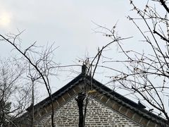 -华山风景区-华阳宫