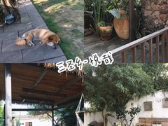 -悦哉·派对·草坪婚礼·围炉煮茶(三圣乡店)