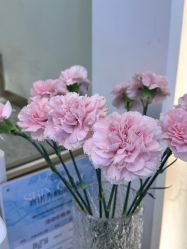 -MIDA蜜哒•科技逆龄美肤连锁