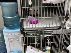 -申普宠物医院·眼科·心内科·影像科(普陀分院)