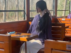 -合肥滨湖国家森林公园