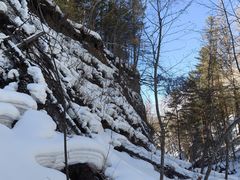 -峡谷浮石林景区