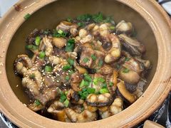 -红星光发煲仔饭(文海店)