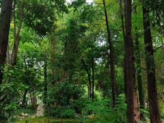 -成都市活水公园