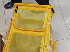 -北京观赏动物医院·24小时大型综合·猫专科·异宠专科