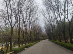 -森林公园(尖草坪区)