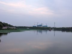 -大兴滨河森林公园