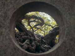 -小洲村