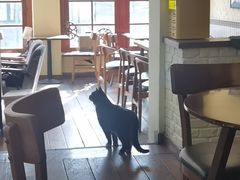 -雕刻时光·咖啡·酒吧·西餐(香山店)