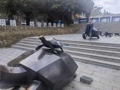 -广东惠东海龟国家级自然保护区