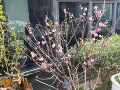 -随柳居·苏式小吃(建新巷店)