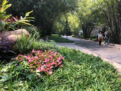 -晓港公园