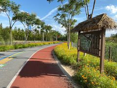 -上海长兴岛郊野公园