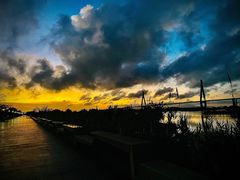 -芒洲湿地公园