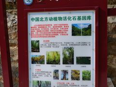 -北京上方山国家森林公园