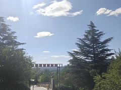 -北京鹫峰国家森林公园