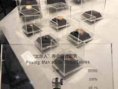 -北京周口店北京人遗址博物馆