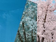 -龙美术馆(西岸馆)