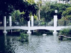 -九龙公园