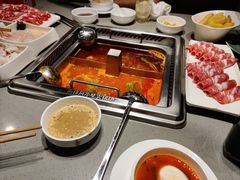 -海底捞火锅(金鼎广场店)