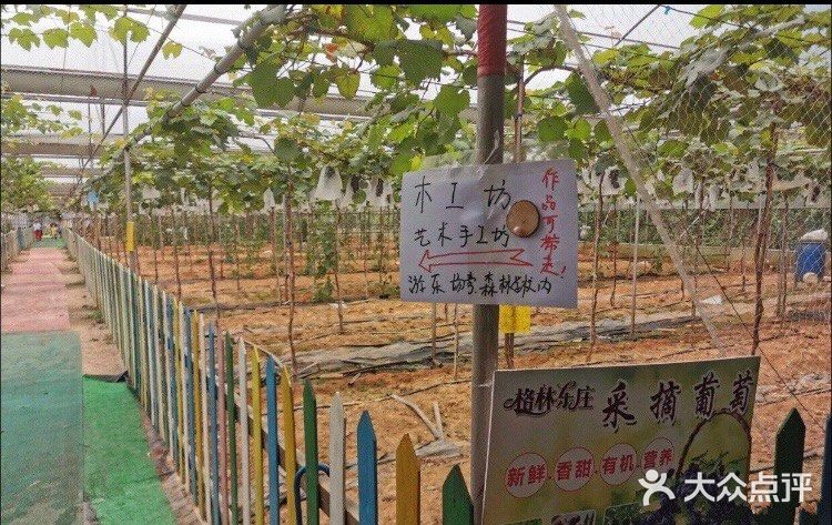 番禺区新造镇东西庄村东潭大街10号