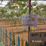 番禺区新造镇东西庄村东潭大街10号