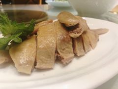 白切鸡-骏莱海鲜鱼港(五角场店)