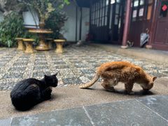 -西园戒幢律寺