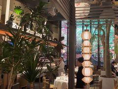 -桂满陇·海市蜃楼·黑金(国金店)