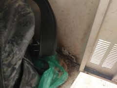 -蓟县盘山滑雪场