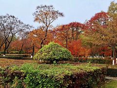 -辽宁大学(崇山校区)