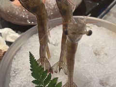 -王家渡火锅店(棕榈泉店)