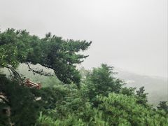 -崂山仰口游览区