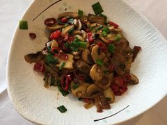 小炒口蘑-黄鹤楼湖北特色菜(高碑店)
