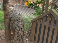 景点-告庄西双景