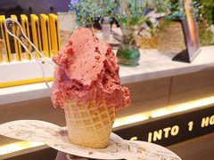 -野人牧坊Gelato(天津南开大悦城店)
