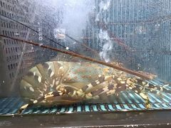 -马王堆海鲜水产市场