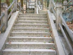 -阳台山森林公园