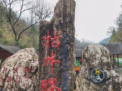 -石台牯牛降景区