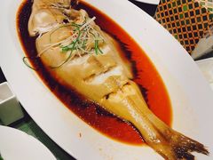 清蒸鲽鱼-新疆巴州金丝特餐厅(大钟寺店)