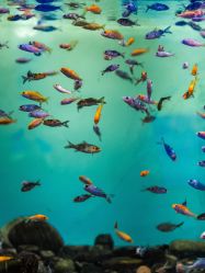 -Zoolung Zoolung动物主题公园(海信广场店)