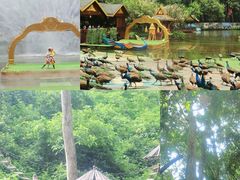 -西双版纳原始森林公园